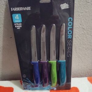 Farberware 4 Piece Steak Knife Set Color Series